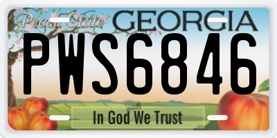 GA license plate PWS6846