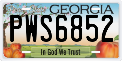 GA license plate PWS6852