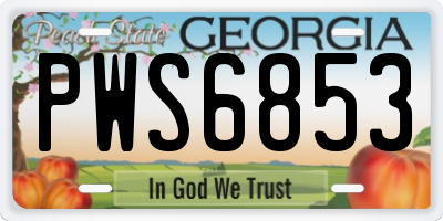 GA license plate PWS6853