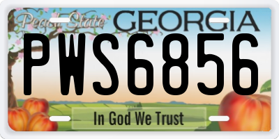 GA license plate PWS6856