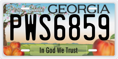 GA license plate PWS6859