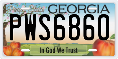 GA license plate PWS6860