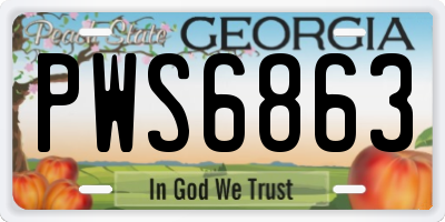 GA license plate PWS6863