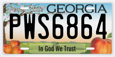 GA license plate PWS6864