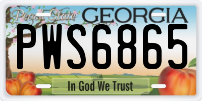 GA license plate PWS6865