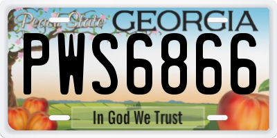 GA license plate PWS6866