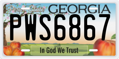 GA license plate PWS6867