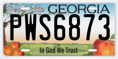 GA license plate PWS6873
