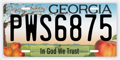 GA license plate PWS6875