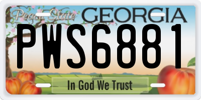 GA license plate PWS6881