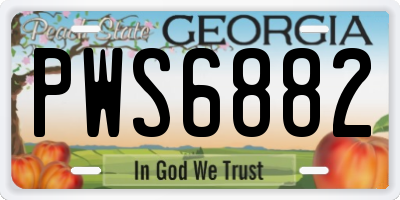 GA license plate PWS6882