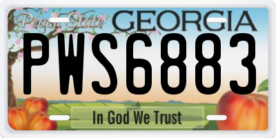GA license plate PWS6883