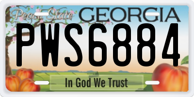 GA license plate PWS6884