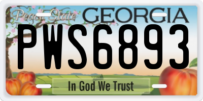 GA license plate PWS6893