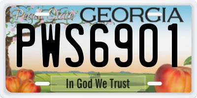 GA license plate PWS6901