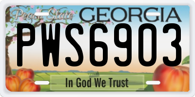GA license plate PWS6903
