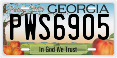 GA license plate PWS6905