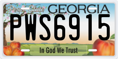 GA license plate PWS6915