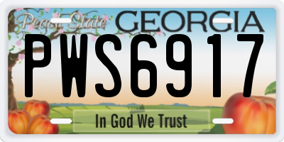 GA license plate PWS6917