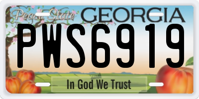 GA license plate PWS6919