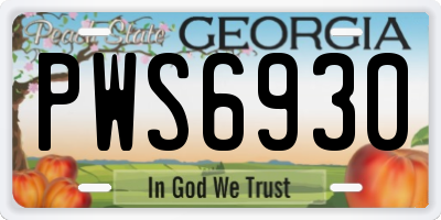 GA license plate PWS6930