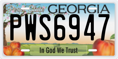 GA license plate PWS6947
