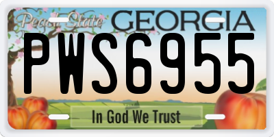 GA license plate PWS6955