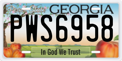GA license plate PWS6958