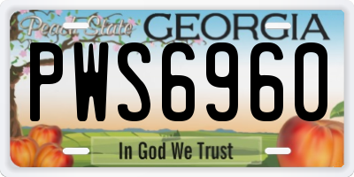 GA license plate PWS6960