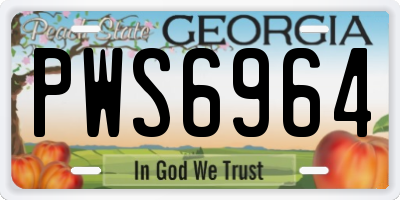GA license plate PWS6964