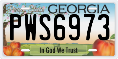 GA license plate PWS6973