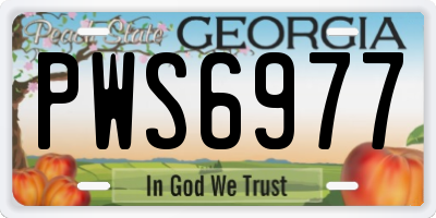 GA license plate PWS6977