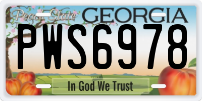 GA license plate PWS6978