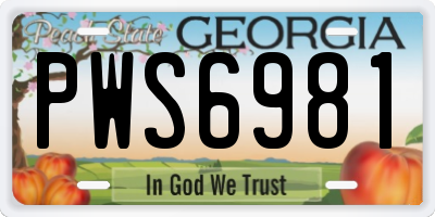 GA license plate PWS6981