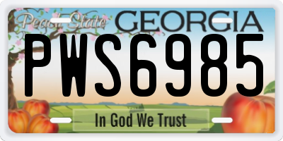 GA license plate PWS6985