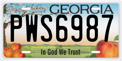 GA license plate PWS6987