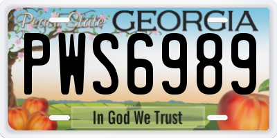GA license plate PWS6989