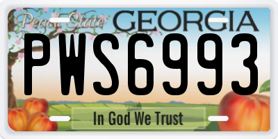 GA license plate PWS6993