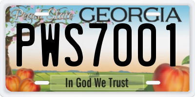 GA license plate PWS7001