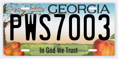 GA license plate PWS7003