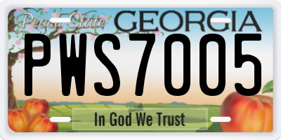 GA license plate PWS7005