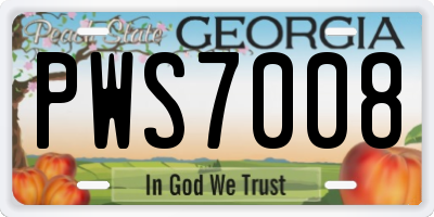 GA license plate PWS7008