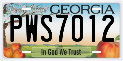 GA license plate PWS7012