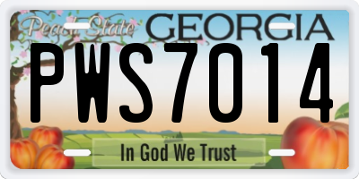 GA license plate PWS7014