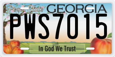 GA license plate PWS7015