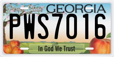 GA license plate PWS7016
