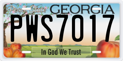 GA license plate PWS7017