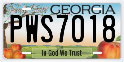 GA license plate PWS7018