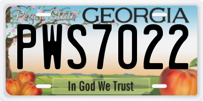 GA license plate PWS7022