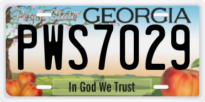 GA license plate PWS7029